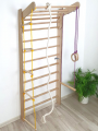 Échelle de gymnastique avec toboggan P320